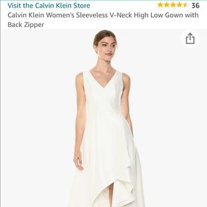 Calvin Klein gown